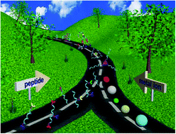 Graphical abstract: Peptide self-assembly triggered by metal ions