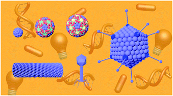 Graphical abstract: Design of virus-based nanomaterials for medicine, biotechnology, and energy