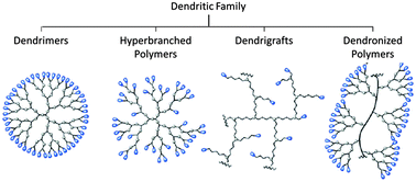 Graphical abstract: The dendrimer paradox – high medical expectations but poor clinical translation