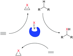 Graphical abstract: Ir-Catalyzed enantioselective group transfer reactions