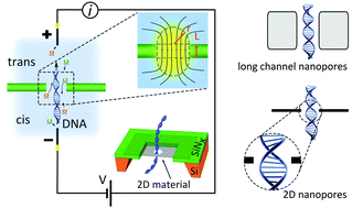 Graphical abstract: Single molecule detection with graphene and other two-dimensional materials: nanopores and beyond