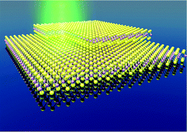 Graphical abstract: Interactions between lasers and two-dimensional transition metal dichalcogenides