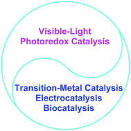 Graphical abstract: Cooperative photoredox catalysis