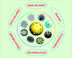 Graphical abstract: Syntheses and biomedical applications of hollow micro-/nano-spheres with large-through-holes