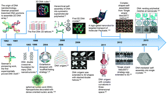 Graphical abstract: Cellular processing and destinies of artificial DNA nanostructures