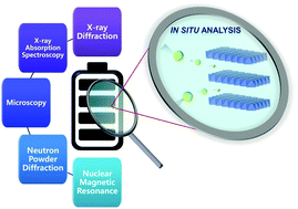 Graphical abstract: In situ analyses for ion storage materials