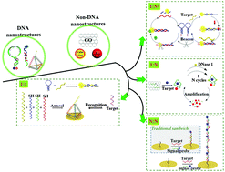 Graphical abstract: The development of nanostructure assisted isothermal amplification in biosensors