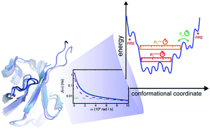 Graphical abstract: Protein dynamics from nuclear magnetic relaxation