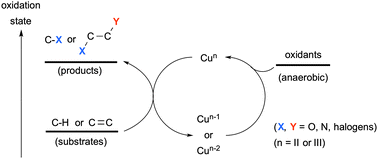 Graphical abstract: Copper-catalyzed oxidative carbon–heteroatom bond formation: a recent update