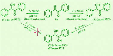 Graphical abstract: Biocatalyzed asymmetric reduction of benzils to either benzoins or hydrobenzoins: pH dependent switch
