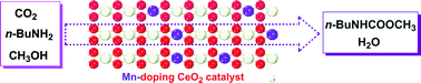 Graphical abstract: The role of Mn doping in CeO2 for catalytic synthesis of aliphatic carbamate from CO2