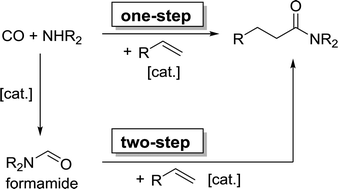 Graphical abstract: Rhodium catalyzed one-step hydroamidation of cyclopentadiene and dicyclopentadiene