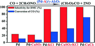 Graphical abstract: (Pd–CuCl2)/γ-Al2O3: a high-performance catalyst for carbonylation of methyl nitrite to dimethyl carbonate