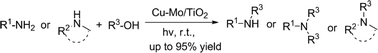 Graphical abstract: Room temperature N-alkylation of amines with alcohols under UV irradiation catalyzed by Cu–Mo/TiO2