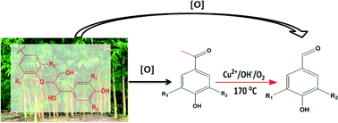 Graphical abstract: Catalytic oxidation of lignin–acetoderivatives: a potential new recovery route for value-added aromatic aldehydes from acetoderivatives