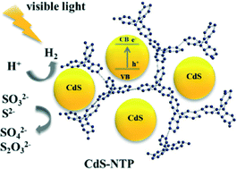 Graphical abstract: CdS-decorated triptycene-based polymer: durable photocatalysts for hydrogen production under visible-light irradiation