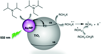 Graphical abstract: Heterogeneous photocatalytic C–C coupling: mechanism of plasmon-mediated reductive dimerization of benzyl bromides by supported gold nanoparticles