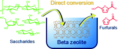 Graphical abstract: Beta zeolite: a universally applicable catalyst for the conversion of various types of saccharides into furfurals