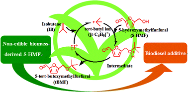 Graphical abstract: A biodiesel additive: etherification of 5-hydroxymethylfurfural with isobutene to tert-butoxymethylfurfural