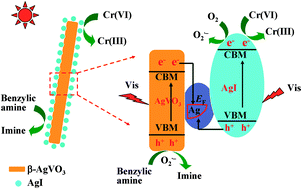 Graphical abstract: In situ fabrication of AgI/AgVO3 nanoribbon composites with enhanced visible photocatalytic activity for redox reactions