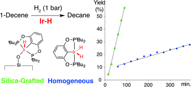 Graphical abstract: Catalytic hydrogenation of liquid alkenes with a silica-grafted hydride pincer iridium(iii) complex: support for a heterogeneous mechanism