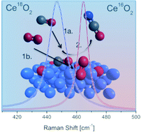 Graphical abstract: The role of lattice oxygen in CO oxidation over Ce18O2-based catalysts revealed under operando conditions