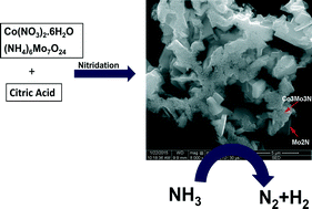 Graphical abstract: Hydrogen production by ammonia decomposition using high surface area Mo2N and Co3Mo3N catalysts