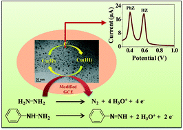 Graphical abstract: Copper nanoparticles decorated polyaniline–zeolite nanocomposite for the nanomolar simultaneous detection of hydrazine and phenylhydrazine