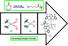 Graphical abstract: Uranium-mediated ring-opening polymerization of ε-caprolactone: a comparative study