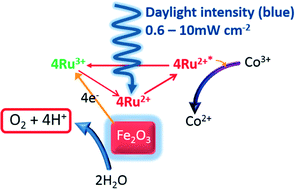 Graphical abstract: Visible light promoted photocatalytic water oxidation: effect of metal oxide catalyst composition and light intensity