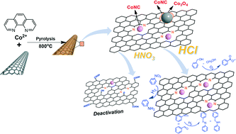 Graphical abstract: Identifying active sites of CoNC/CNT from pyrolysis of molecularly defined complexes for oxidative esterification and hydrogenation reactions