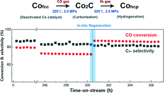 Graphical abstract: Enhanced catalytic activity of cobalt catalysts for Fischer–Tropsch synthesis via carburization and hydrogenation and its application to regeneration