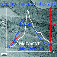 Graphical abstract: Modification of the carbide microstructure by N- and S-functionalization of the support in MoxC/CNT catalysts
