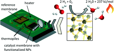 Graphical abstract: Novel nanoparticle catalysts for catalytic gas sensing