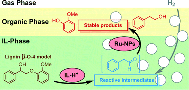 Graphical abstract: New insights into the catalytic cleavage of the lignin β-O-4 linkage in multifunctional ionic liquid media