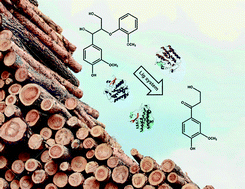 Graphical abstract: Cascade enzymatic cleavage of the β-O-4 linkage in a lignin model compound