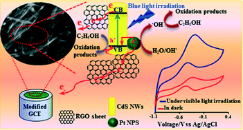 Graphical abstract: Enhanced visible light driven photoelectrocatalytic oxidation of ethanol at reduced graphene oxide/CdS nanowires decorated with Pt nanoparticles