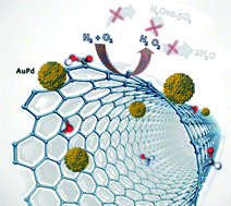 Graphical abstract: Depressing the hydrogenation and decomposition reaction in H2O2 synthesis by supporting AuPd on oxygen functionalized carbon nanofibers