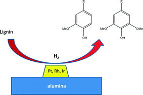 Graphical abstract: Catalytic depolymerisation of isolated lignin to fine chemicals: part 2 – process optimisation