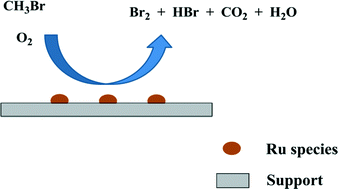 Graphical abstract: Catalytic oxidation of methyl bromide using ruthenium-based catalysts