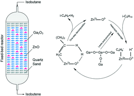 Graphical abstract: Catalytic dehydrogenation of isobutane over a Ga2O3/ZnO interface: reaction routes and mechanism