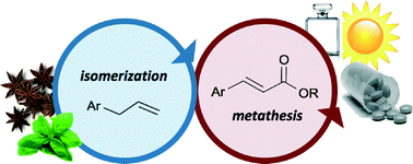 Graphical abstract: Tandem catalysis versus one-pot catalysis: ensuring process orthogonality in the transformation of essential-oil phenylpropenoids into high-value products via olefin isomerization–metathesis