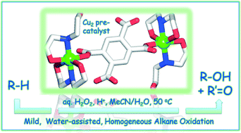 Graphical abstract: New aqua-soluble dicopper(ii) aminoalcoholate cores for mild and water-assisted catalytic oxidation of alkanes