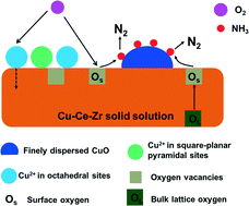 Graphical abstract: Role of different coordinated Cu and reactive oxygen species on the highly active Cu–Ce–Zr mixed oxides in NH3-SCO: a combined in situ EPR and O2-TPD approach