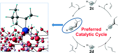 Graphical abstract: Energetic pathways and influence of the metallacyclobutane intermediates formed during isobutene/2-butene cross-metathesis over WH3/Al2O3 supported catalyst