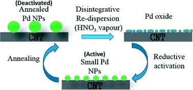 Graphical abstract: Disintegrative activation of Pd nanoparticles on carbon nanotubes for catalytic phenol hydrogenation