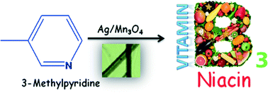 Graphical abstract: Fabrication of Ag/Mn3O4 nano-architectures for the one-step selective oxidation of 3-picoline to niacin: a key to vitamin B3 production