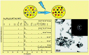 Graphical abstract: Multifunctional lanthanide and silver ion co-doped nano-chlorapatites with combined spectroscopic and antimicrobial properties