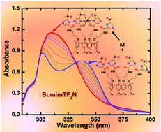 Graphical abstract: Binding of pyrazine-functionalized calix[4]arene ligands with lanthanides in an ionic liquid: thermodynamics and coordination modes