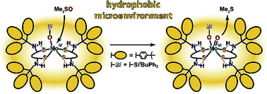 Graphical abstract: Efficient uptake of dimethyl sulfoxide by the desoxomolybdenum(iv) dithiolate complex containing bulky hydrophobic groups